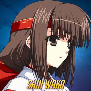 Shin Wakapng — The Phantom Breaker: Omnia Tier List option 15
