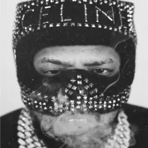 1fe7cc74 1143 4a73 9c0f 2dcaebea37b5 — Westside Gunn Discography option 4