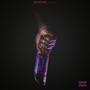 A103009600210 — Westside Gunn Discography option 10