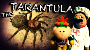 Thetarantulajpg — SML 2016 Ranked but Jeffy's Birthday is actually added option 95