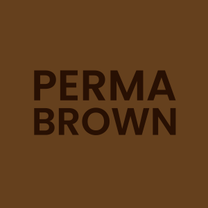Zzzzz 1668104223perma Brownpng — Ultimate Color Tier List option 30