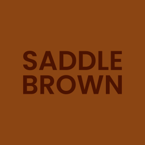 Zzzzz 1668104224saddle Brownpng — Ultimate Color Tier List option 31