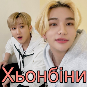 3414df7c D2a2 4211 80c4 213dece9ce79jpeg — skz ships option 7