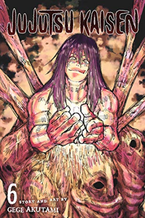 Jujutsu Kaisen Volume Cover Tierlist 1-23 — option 21