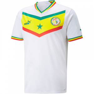 A3 Senegal 1jpg — Camisetas del Mundial Qatar 2022 option 6