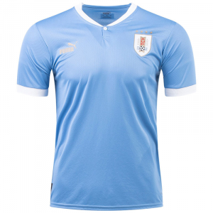 H3 Uruguay 1jpg — Camisetas del Mundial Qatar 2022 option 66