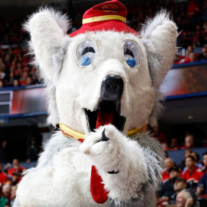Harvey The Houndjpg — NHL Mascots (22-23) option 12