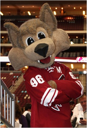 Howler The Coyotejpg — NHL Mascots (22-23) option 13