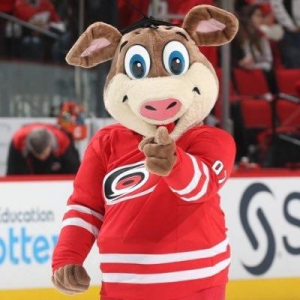 Stormy The Pigjpg — NHL Mascots (22-23) option 27