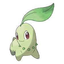 Chicojfif — all pokemon starters and evolutions 2022 option 12