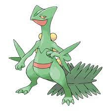 Sceptilejfif — all pokemon starters and evolutions 2022 option 59