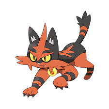 Torracatpng — all pokemon starters and evolutions 2022 option 70
