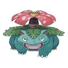 Venasaurjfif — all pokemon starters and evolutions 2022 option 76
