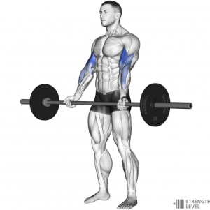 Barbellcurljpg — Gym Exercises option 2