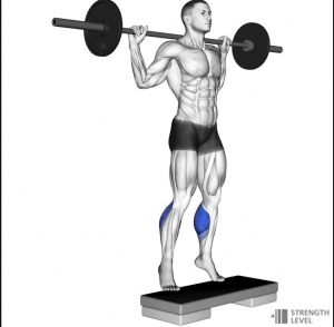 Calve Raisejpg — Gym Exercises option 5