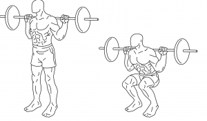 Capturejpg — Gym Exercises option 6