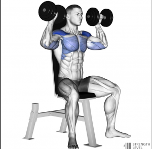 Dbshoulderjpg — Gym Exercises option 8