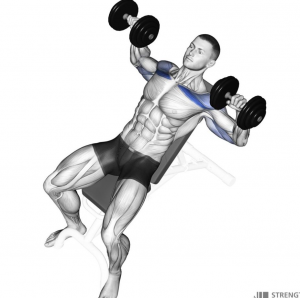 Decline Dumbelljpg — Gym Exercises option 9