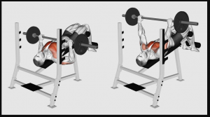 Declinejpg — Gym Exercises option 10