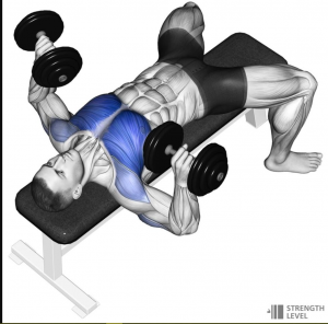 Dumbelljpg — Gym Exercises option 12