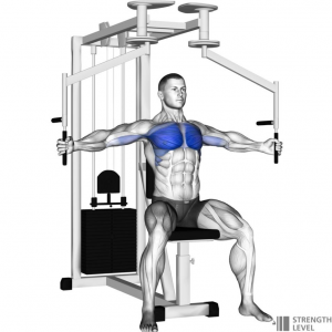Flysjpg — Gym Exercises option 13