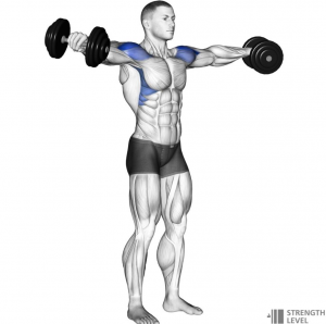 Lat Raisejpg — Gym Exercises option 16