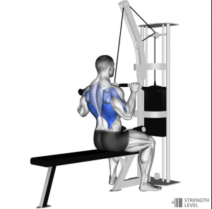Latpulldownjpg — Gym Exercises option 17