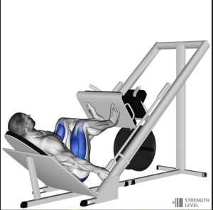 Leg Pressjpg — Gym Exercises option 20