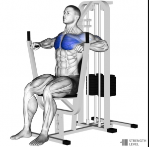 Machine Pressjpg — Gym Exercises option 22