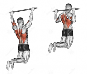 Pullupjpg — Gym Exercises option 24