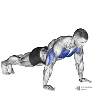 Pushupjpg — Gym Exercises option 26