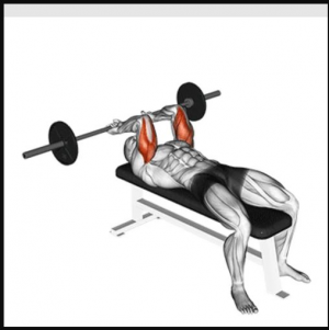 Scullgrusherjpg — Gym Exercises option 30
