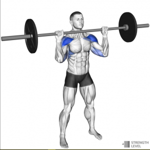 Shoulderjpg — Gym Exercises option 32