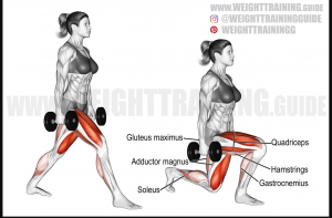 Slitjpg — Gym Exercises option 34