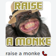 14png — Raise A Pet Games option 5