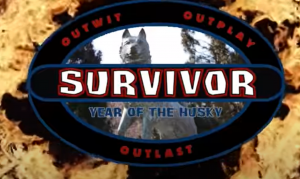Zzzzz 1690299108husky — College Survivor Seasons option 27