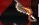 Ojpg — Black Soul's Weapon option 28