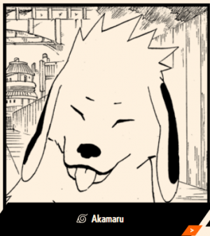 Screenshot20221222171921png — Every Naruto Character option 2