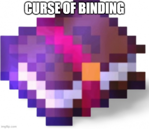 Curse Of Bindingjfif — Minecraft Enchanted books tierlist option 5