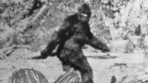 6ebff81c 0578 4474 A73d 59d84e1ddfc0jpeg — Animals I could Beat With a Metal Baseball Bat option 14