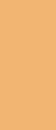5107a220 9a4f 4cca Bbb8 21c291947e68jpeg — Color Teirlist option 20