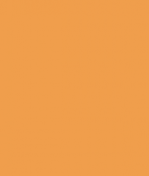 Ee9665a7 6c82 4939 9a5b 6b5cb8836129jpeg — Color Teirlist option 73