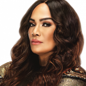 Dekj0vg 3f294781 46fb 4632 93bb 2f20d197244bpng — WWE women's royal rumble predictions option 19
