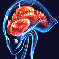135png — Metroid Characters (2023) option 6