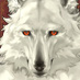 Zzzzz 1716749668tsubasanookanohimegrimhakkakucapelthwaite — Console & PC Otome Game Capture Targets option 1988