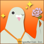 Zzzzz 1721775783hatofulboyfriendsakazakiyuuya — Console & PC Otome Game Capture Targets option 772