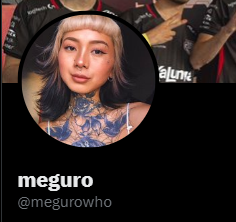 Screenshot54png — LOLTT 2023.1 option 37