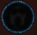 Crucifixambushpng — Doors badges option 4