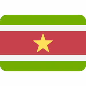 Surinam 1 — América Paises option 30