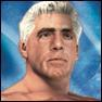 Ric Flairjpg — WWE HCTP Proper Ability option 36